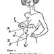Image for article titled A structural engineer performs a stress analysis of a strapless gown